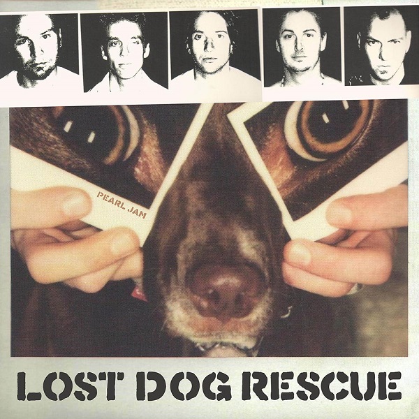 Lost Dog Rescue